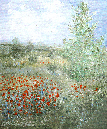 fieldpoppies_big.jpg