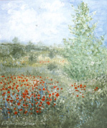 fieldpoppies_small.jpg
