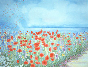 poppies_small.jpg